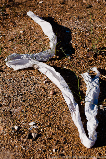 toilet paper trash at Nothing, Arizona