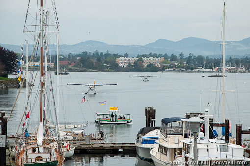 Sea planes returning to Victoria's Inner Harbor