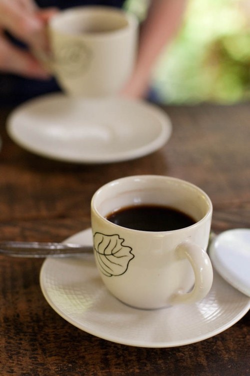 Cat Poop Coffee, Bali, Indonesia