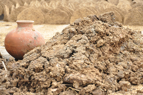 Dung destined to be made into fuel
