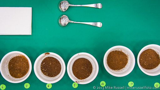 Line of dry ground coffee in sample cups with two spoons